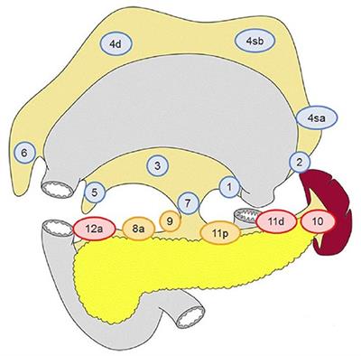 Prognostic Significance of Solitary Lymphnode Metastasis and Micrometastasis in Gastric Cancer